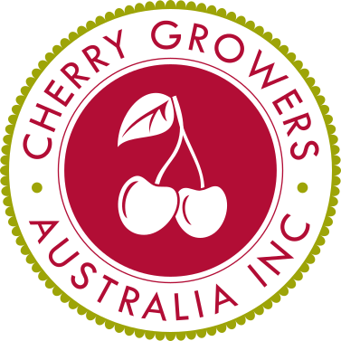 1630982072323524.png ia_300000030.png