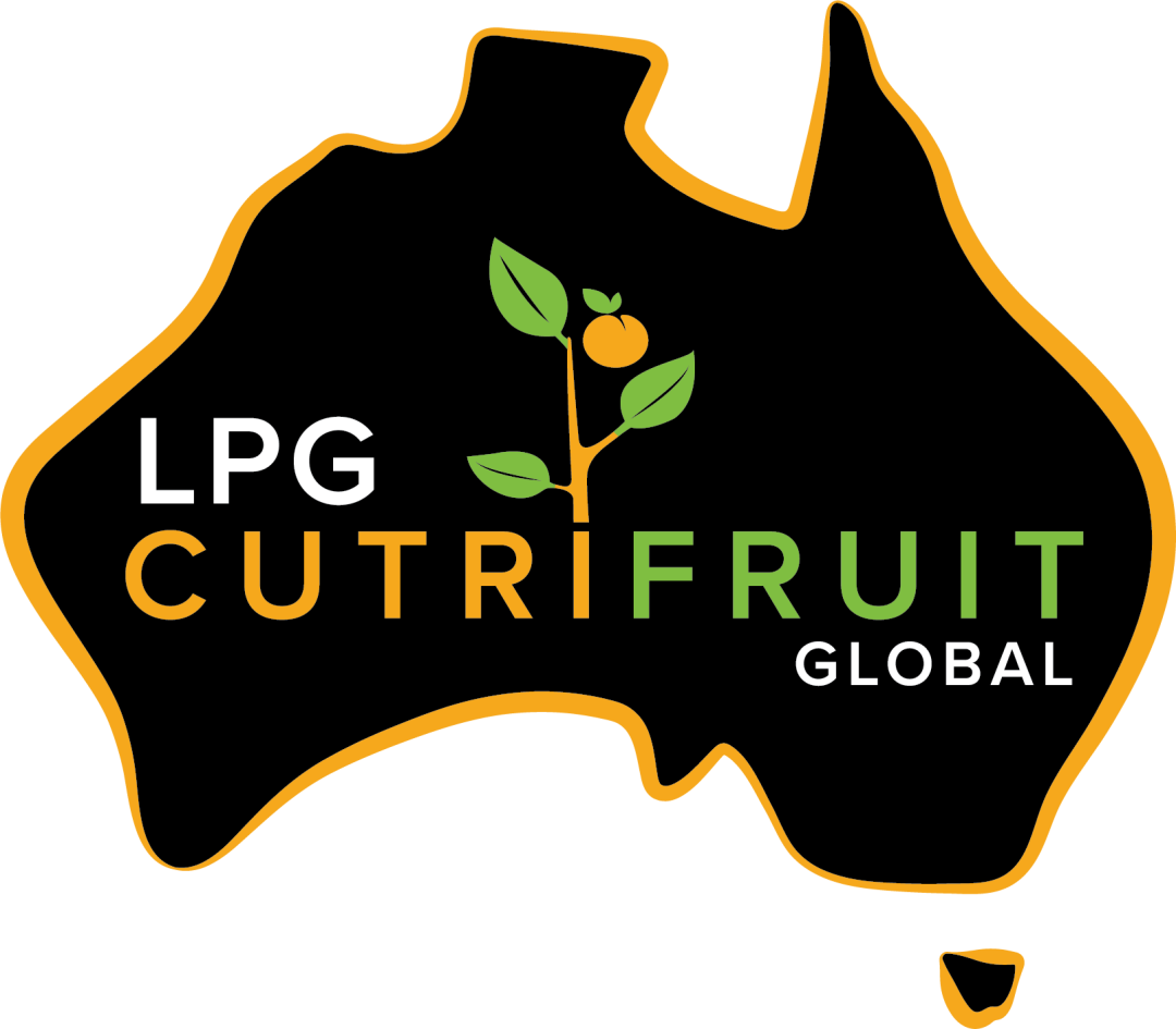 1630982763308075.png ia_300001189.png