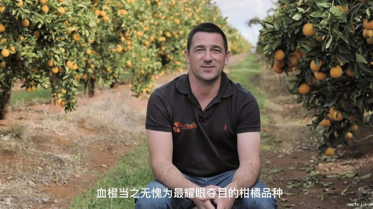 1630983922519125.jpg ia_400000038 (1).jpg