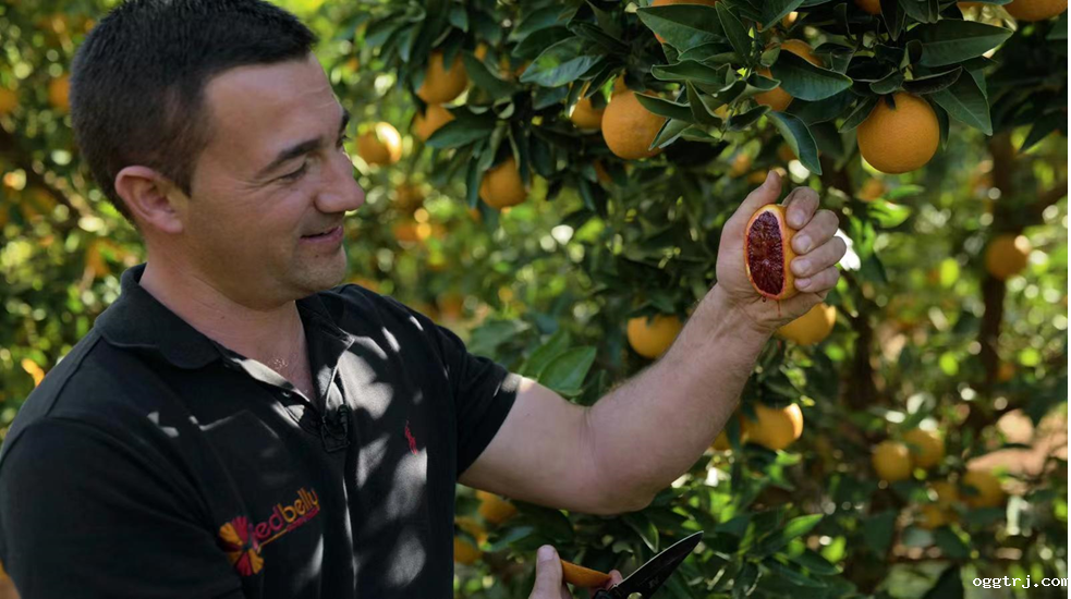 1630984014526814.png ia_400000969.png