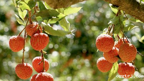 1630993419694848.png 赛时-9.7-1.png