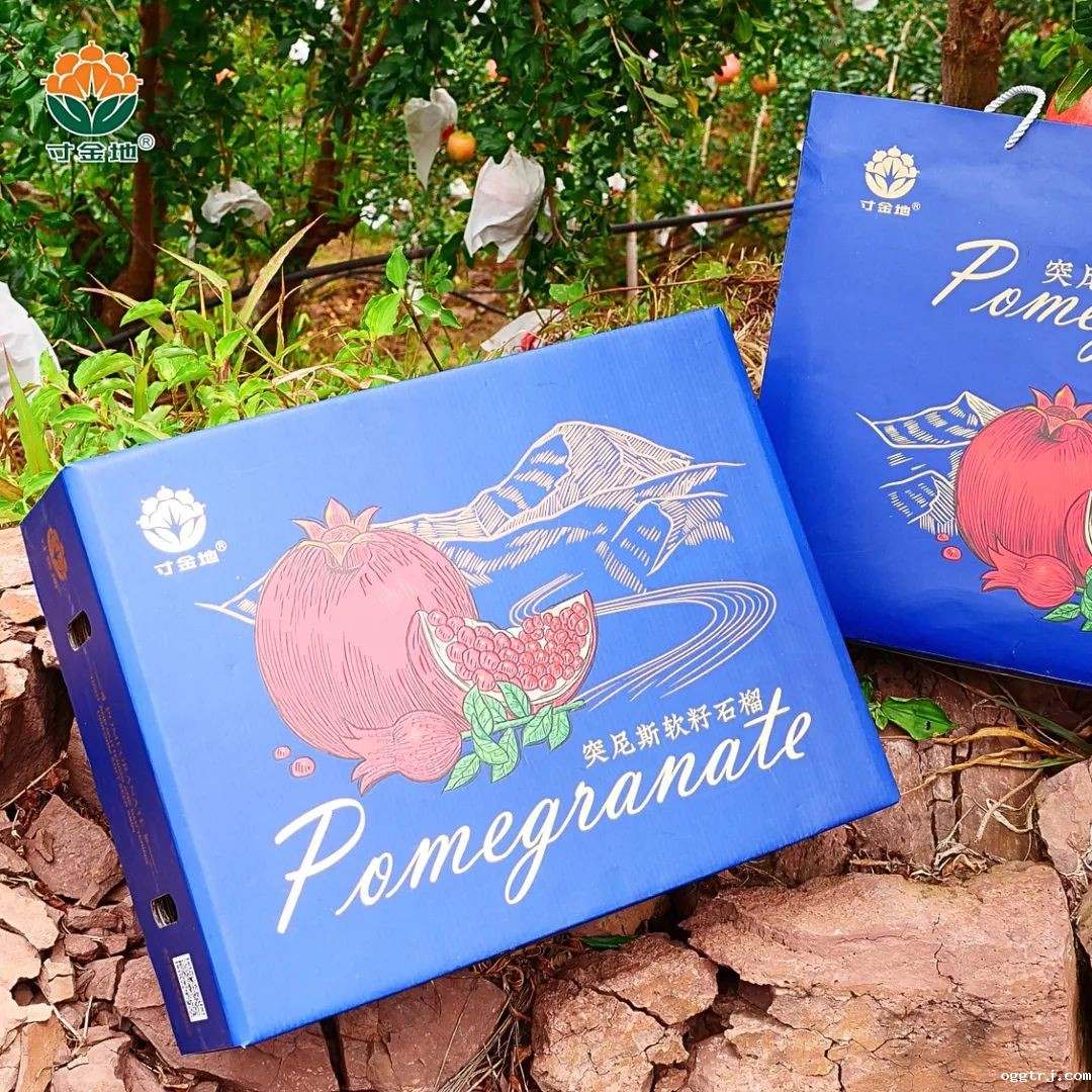 1631157395147561.jpg ia_100000003.jpg