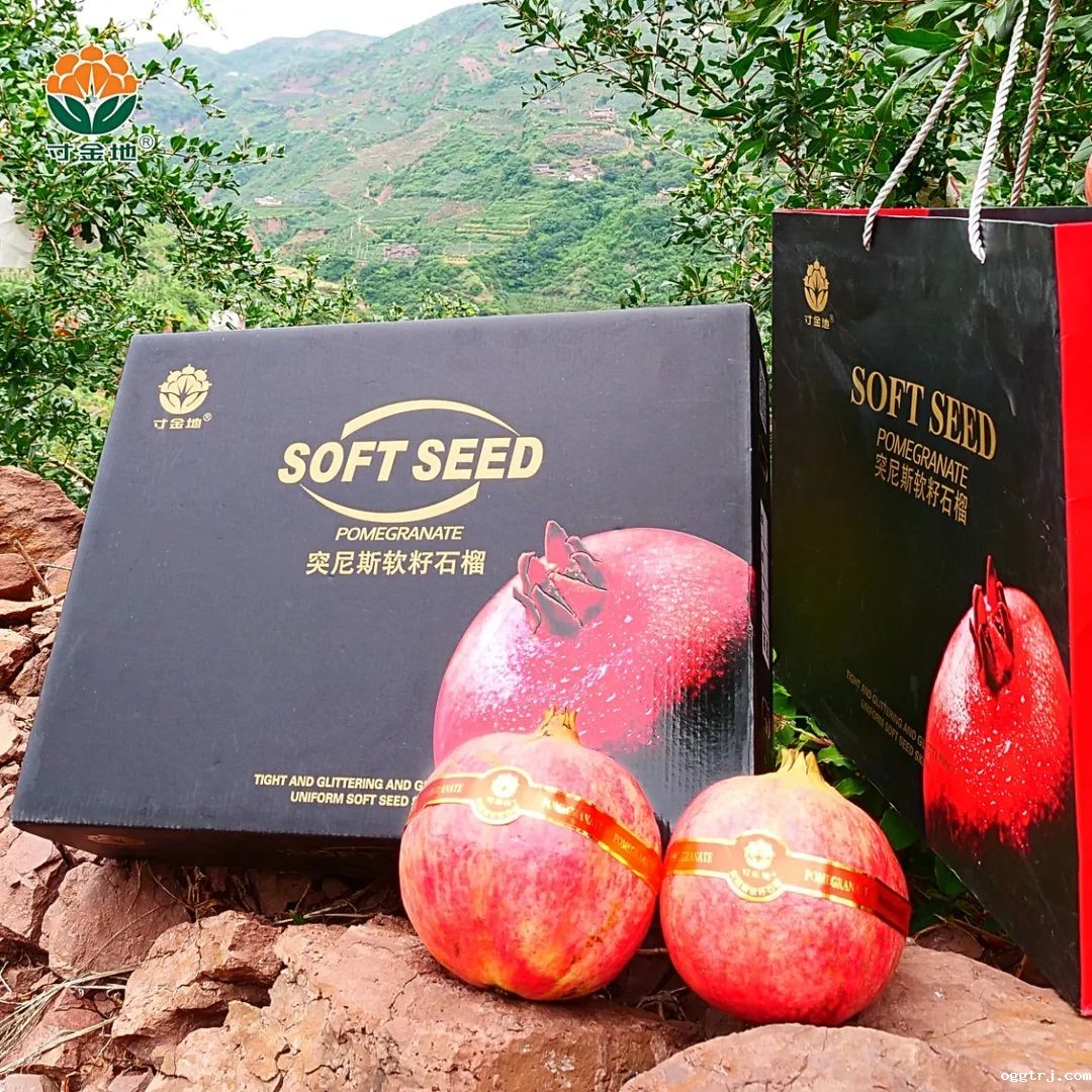 1631157456241617.jpg ia_100000573.jpg