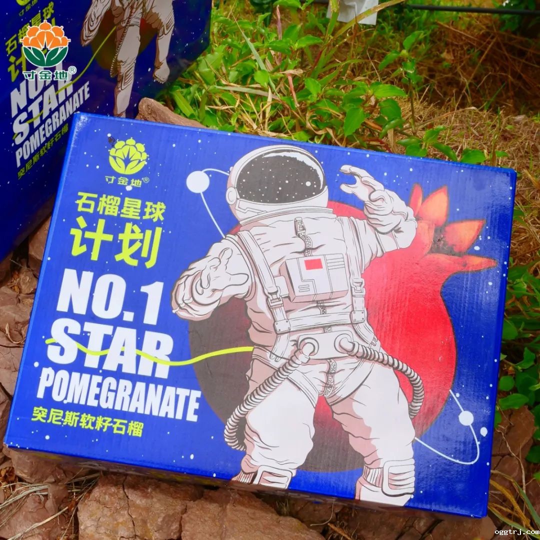 1631157476319991.jpg ia_100000575.jpg