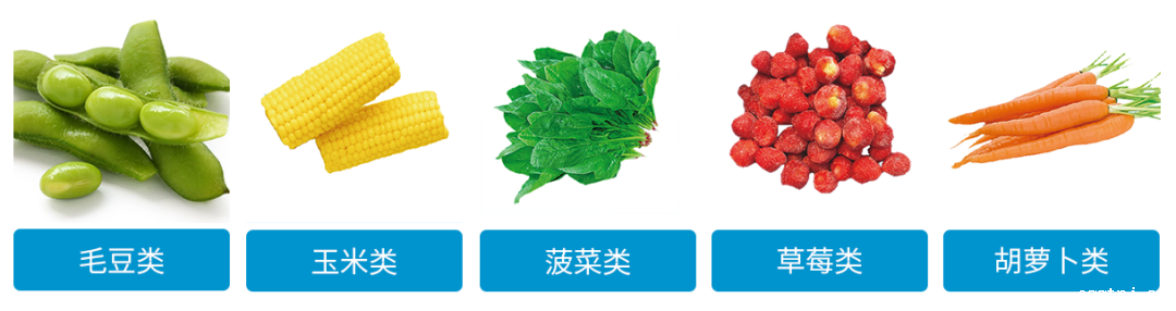 1631161808321746.png ia_200000017.png