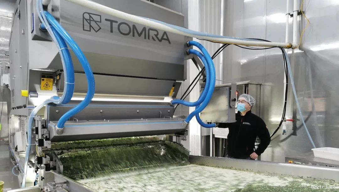 1631161841783582.jpg ia_200000018.jpg