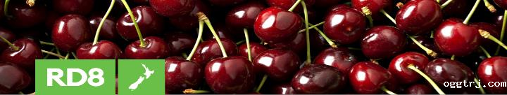 ia_1700000002 (1).png