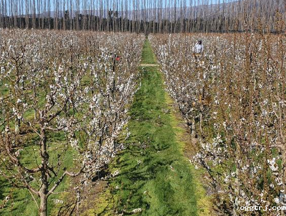 ia_1700000657 (1).png