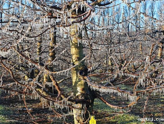 ia_1700000659 (1).png