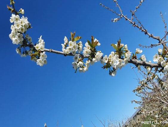 ia_1700000661 (1).png