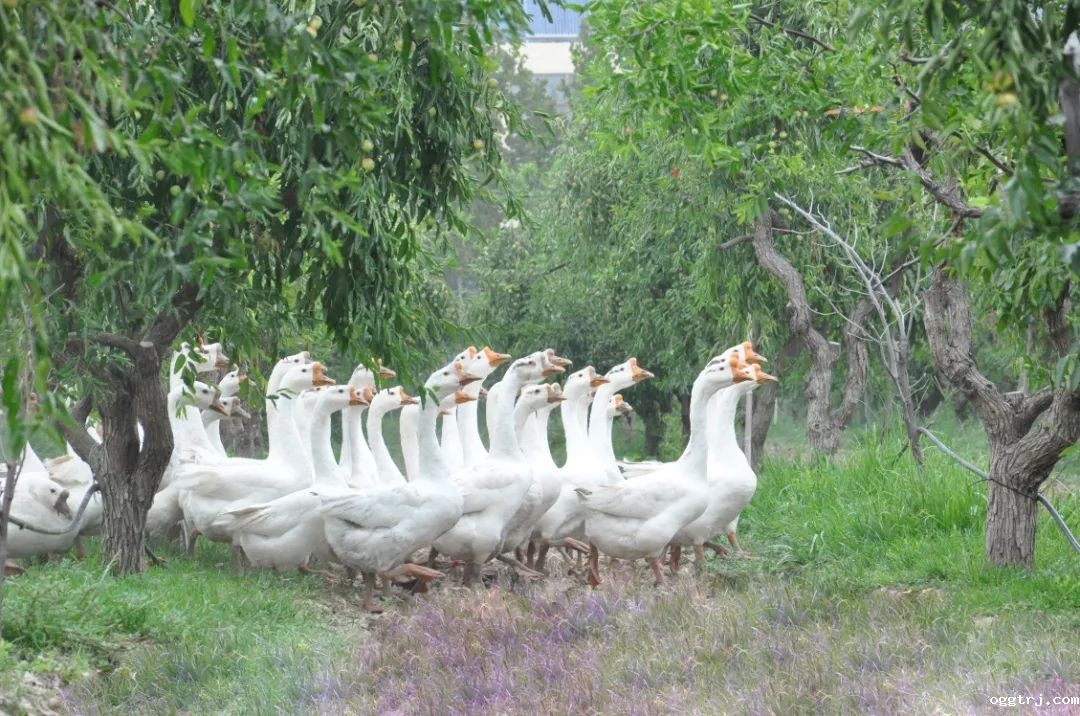 1635212968714202.jpg ia_200000771.jpg