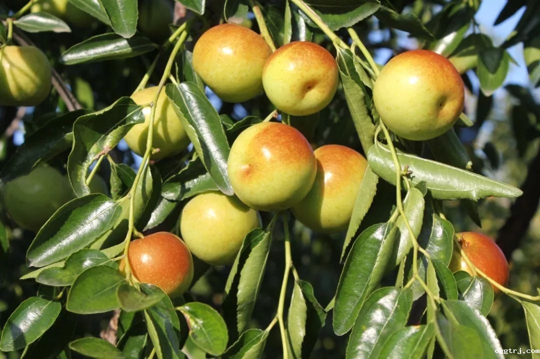 1635213216176013.jpg ia_200000772.jpg