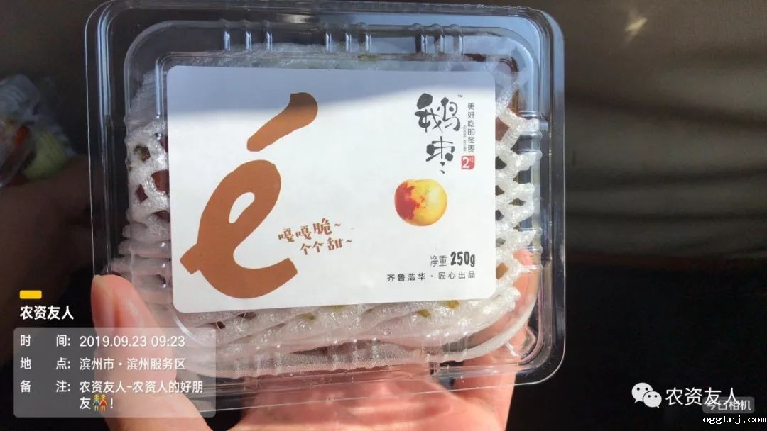 1635213400572457.jpg ia_200000769.jpg