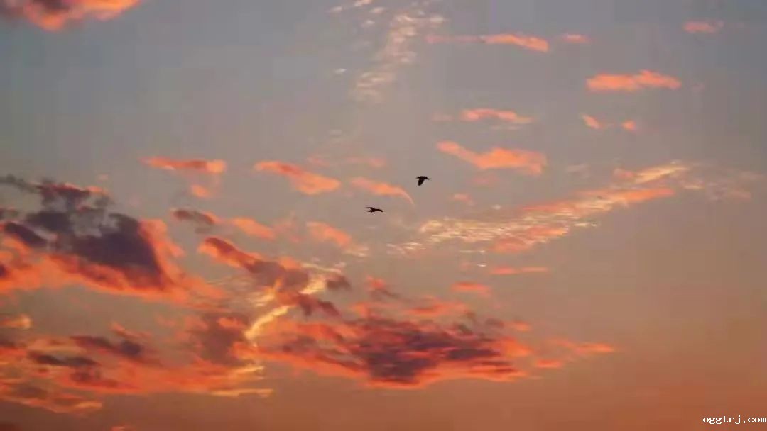 1635213769897095.jpg ia_200000777.jpg