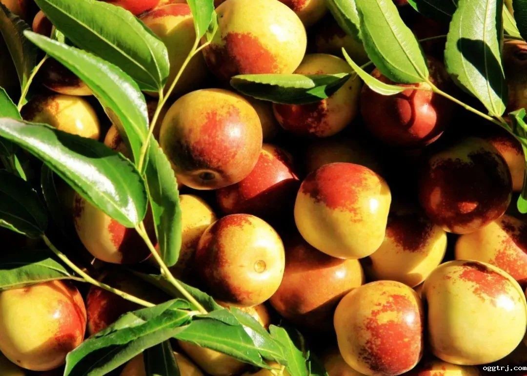 1635214980670624.jpg ia_200000778.jpg