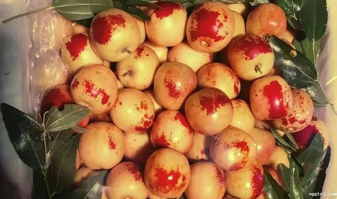 1635215321694592.jpg ia_200000784.jpg