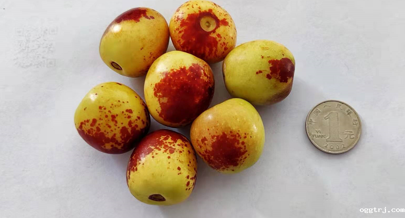 1635215351999559.png ia_200000790.png