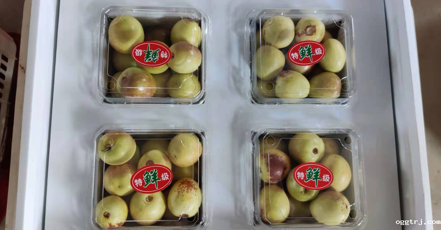 1635215755493097.png ia_200000798.png