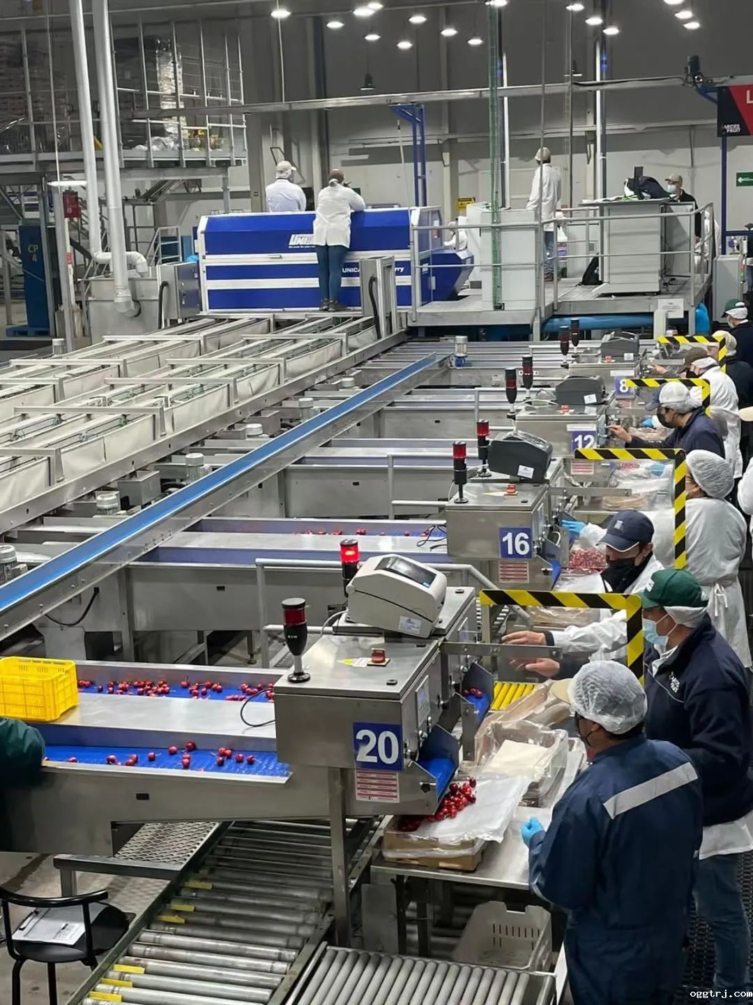 1635240195865642.jpg ia_1500000441.jpg