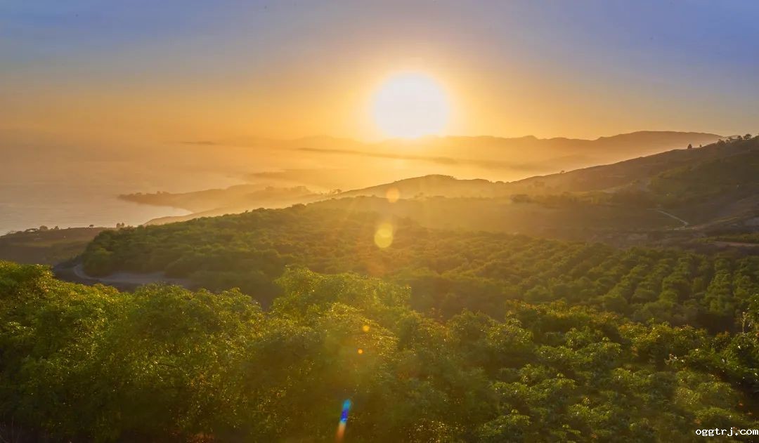 1635409286287112.jpg ia_1100000633.jpg