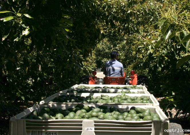 1635409374690197.png ia_1100000639.png