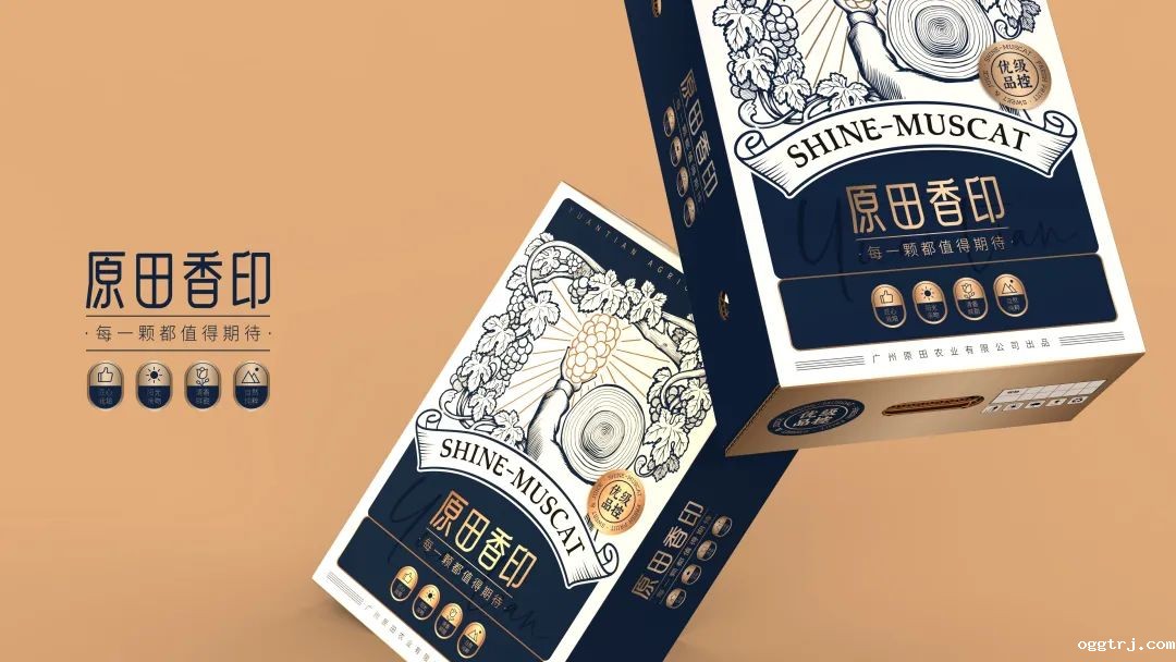 1635821705444603.jpg ia_100000769.jpg