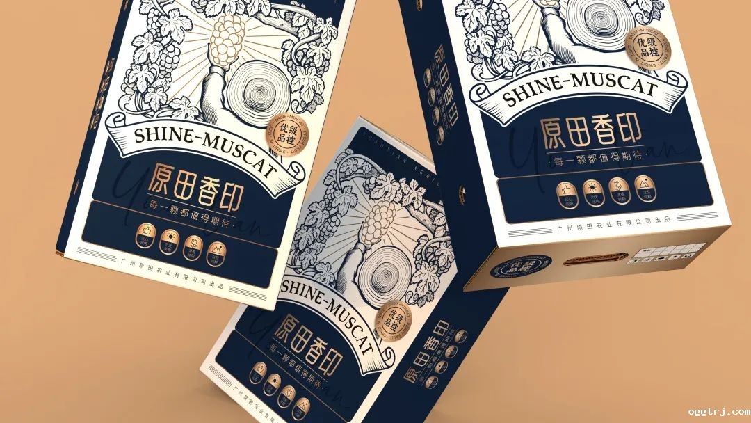 1635821713514516.jpg ia_100000771.jpg