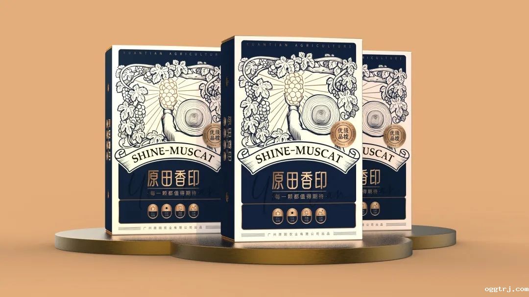 1635821727636839.jpg ia_100000768.jpg