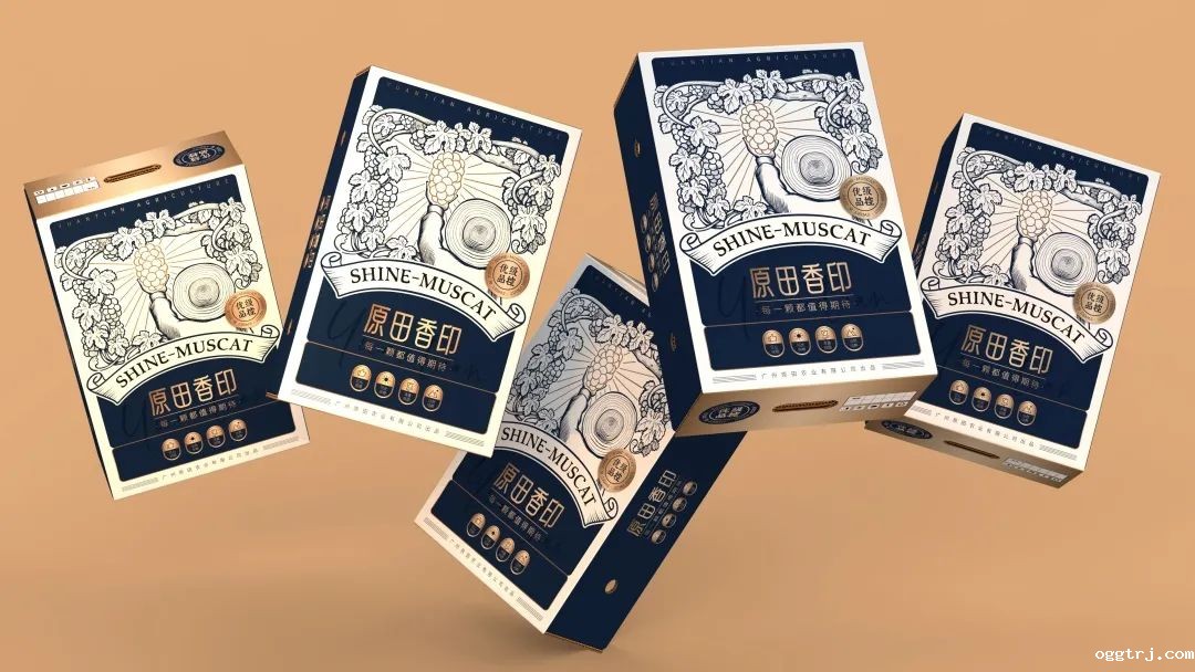 1635821740420253.jpg ia_100000773 (1).jpg