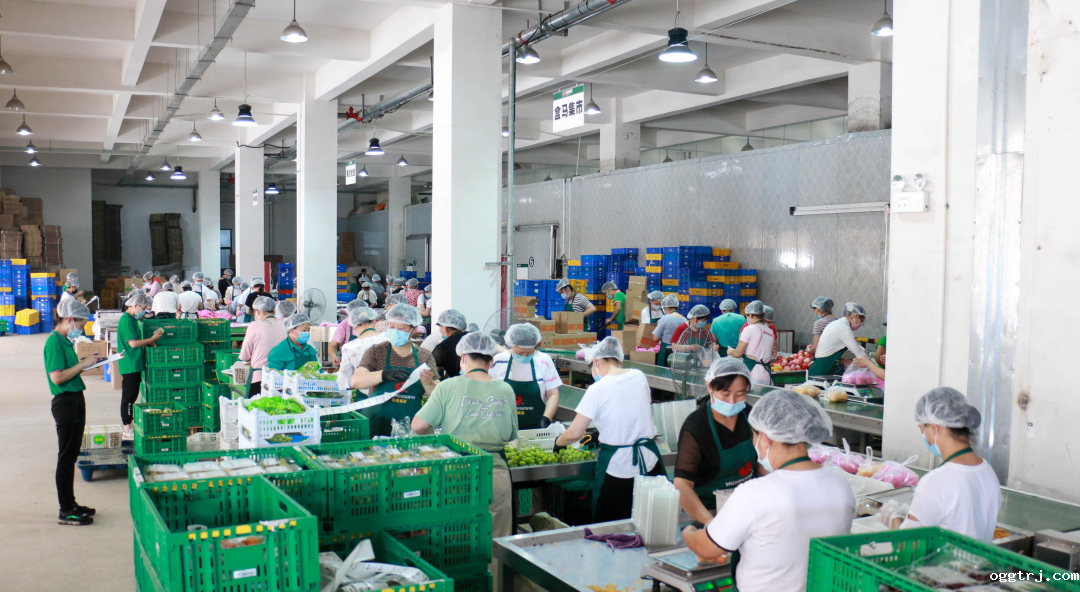 1656639543597516.png 10004.png