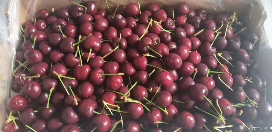 1661932468590756.jpg 10009.jpg