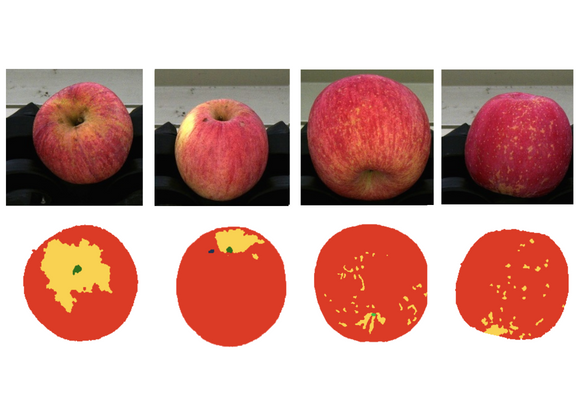 1661996764740541.png 10007.png