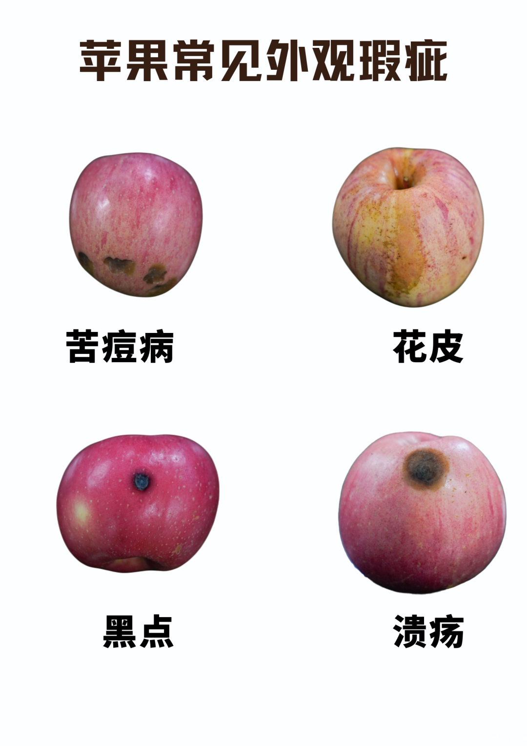 1661996773284106.png 10008.png