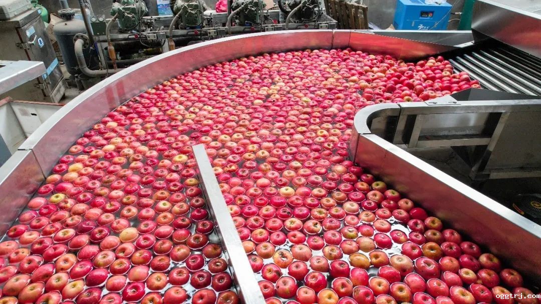 1661996862466133.jpg 10017.jpg