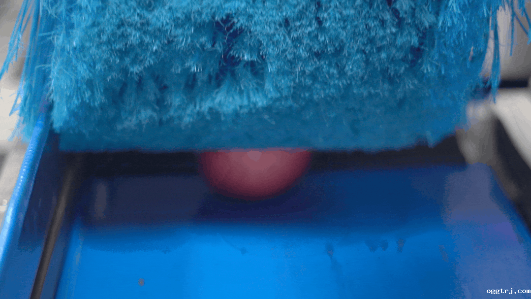 1661996898480098.gif 10018.gif