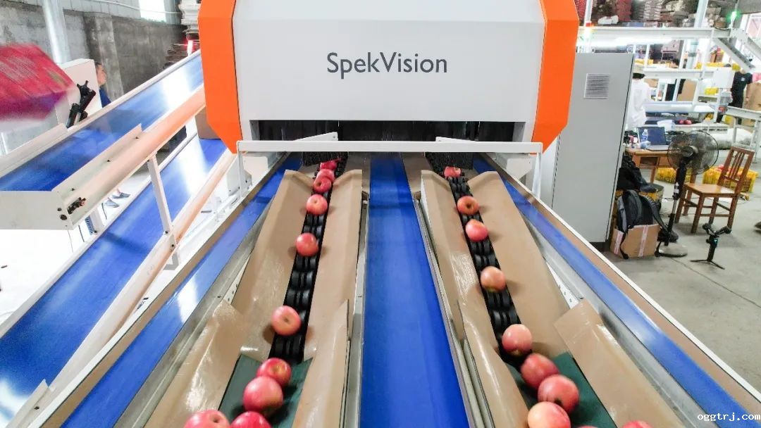 1661996928518260.jpg 10019.jpg