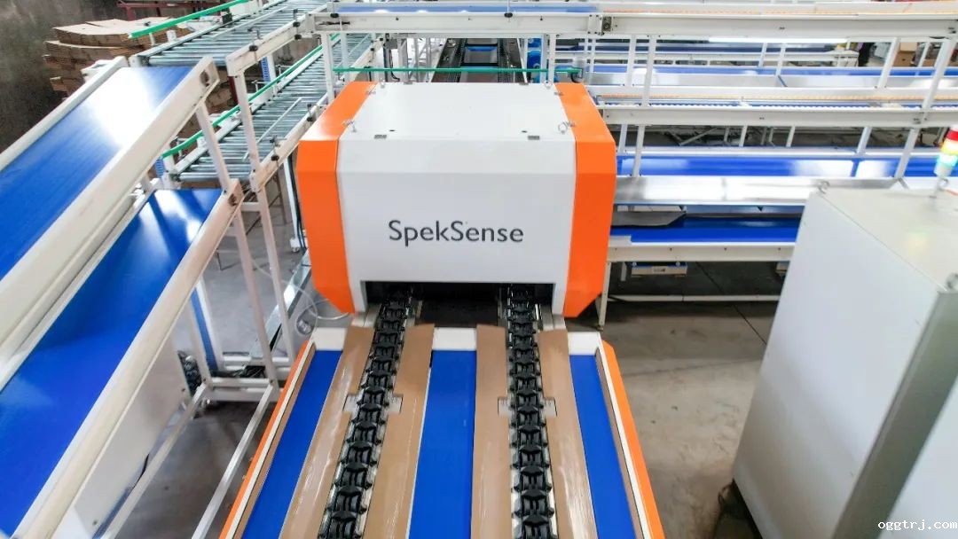 1661996960268114.jpg 10020.jpg