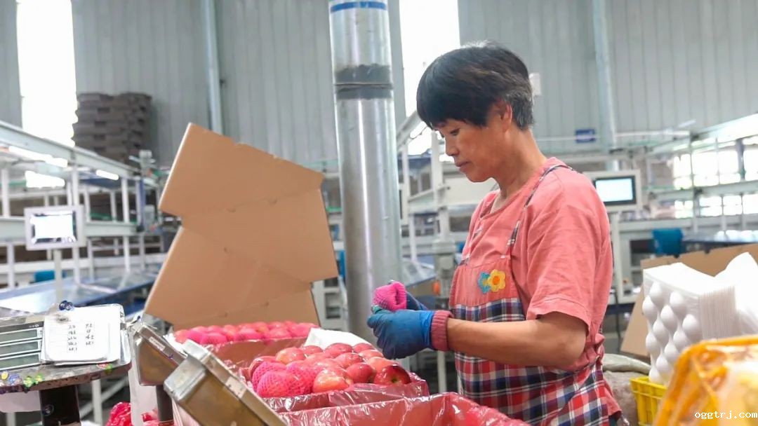 1661996971255342.jpg 10022.jpg