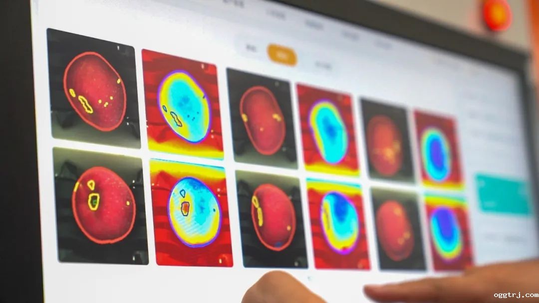 1661996977364273.jpg 10023.jpg