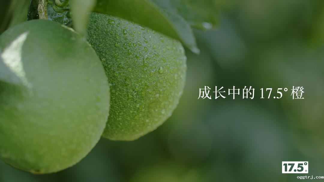 1661997207656062.png 10001.png