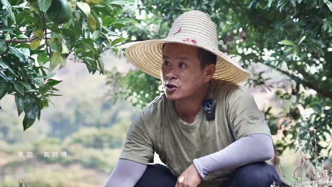 1661997222277562.jpg 10003.jpg