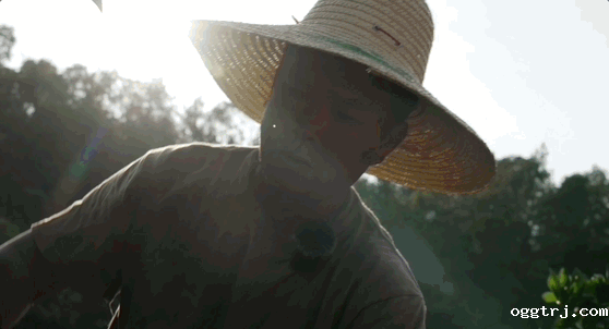 1661997228226330.gif 10004.gif