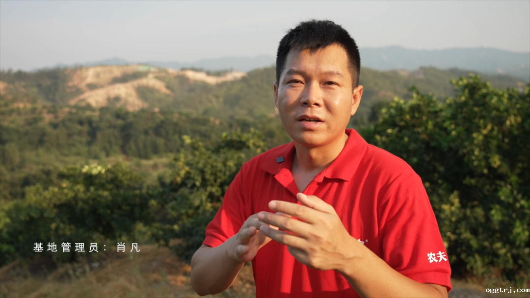 1661997268314376.png 10006.png