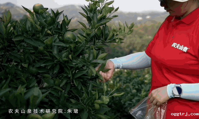 1661997301893820.gif 10010.gif