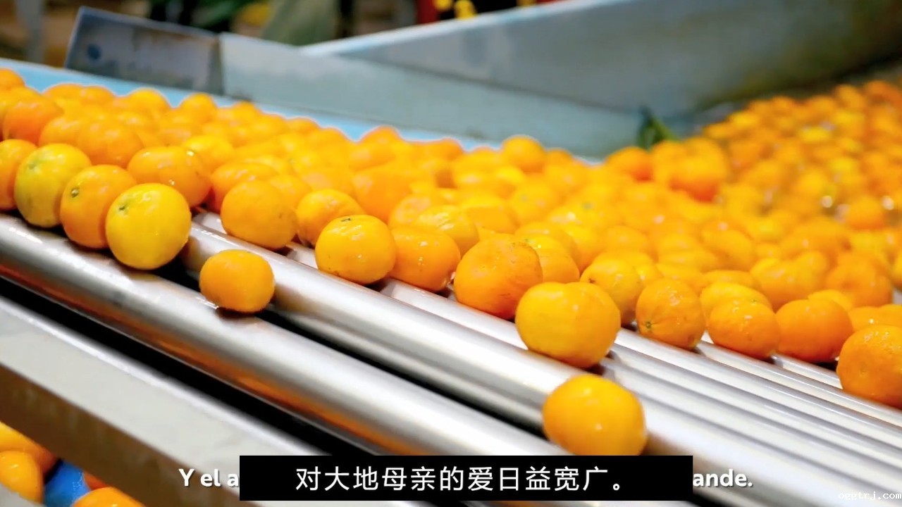 1661997435999959.jpg 10001.jpg