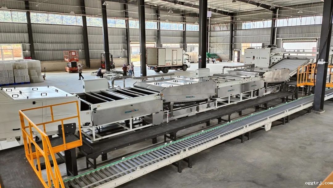 1662344215513119.jpg 10006.jpg