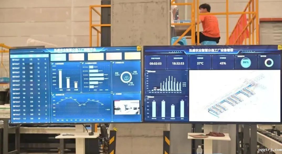 1662344229231050.jpg 10009.jpg