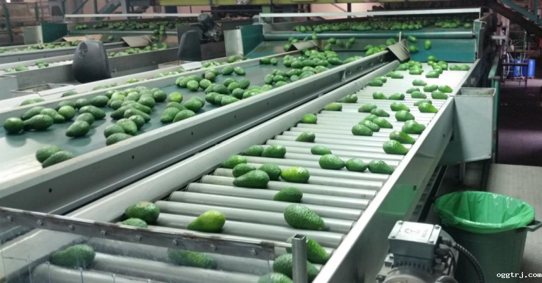 1663296515908084.png 10002.png