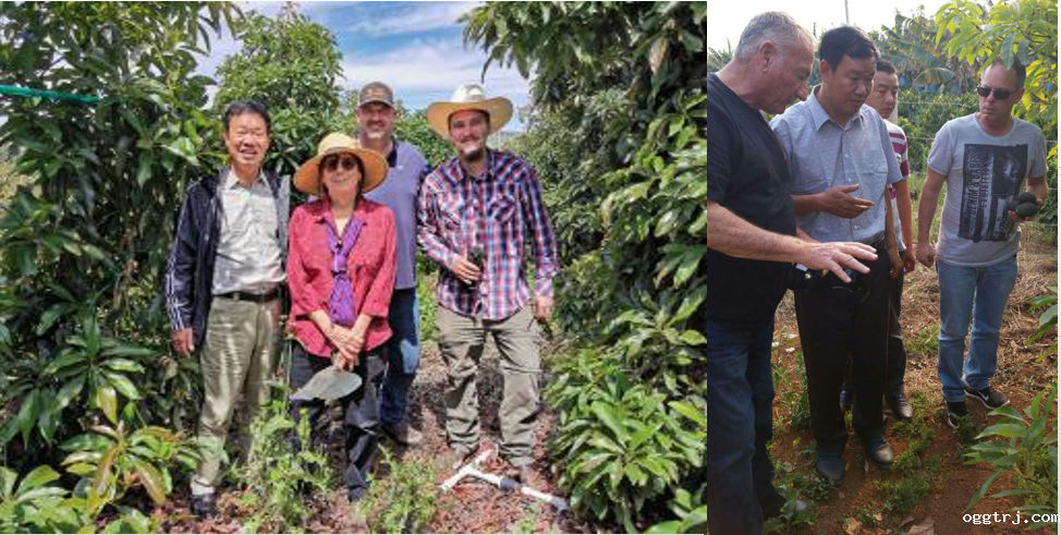 1663296526654011.png 10005.png