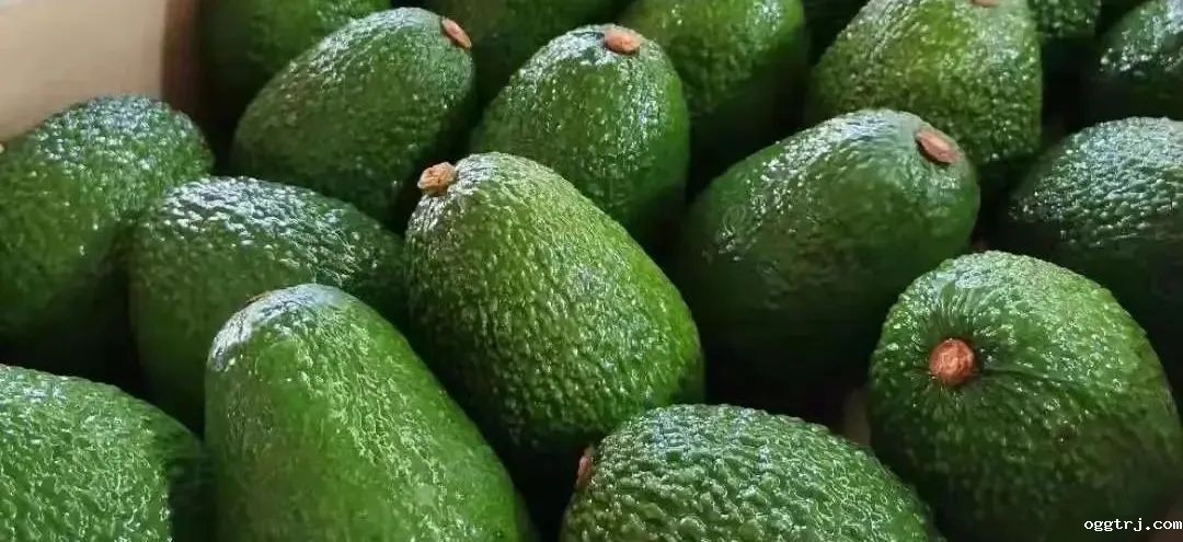 1663296532197263.jpg 10006.jpg